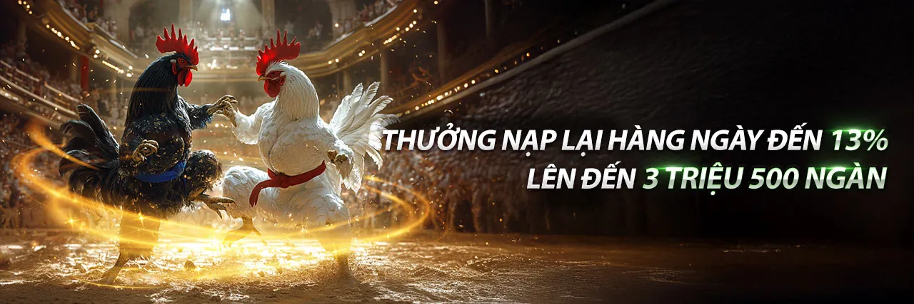 Đá Gà Ngày 14 Tháng 10